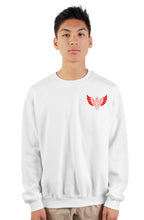 Load image into Gallery viewer, Red Wings Egyptian sweatshirt

